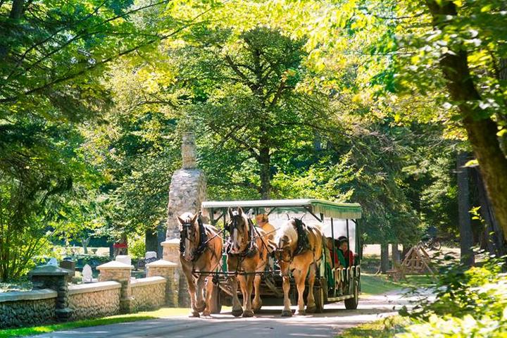 are dogs allowed on mackinac island are dogs allowed on mackinac island