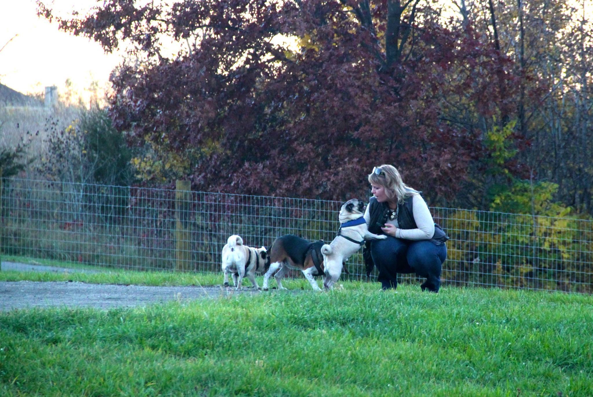 Pet Friendly Dog Park at Southbridge Community Park