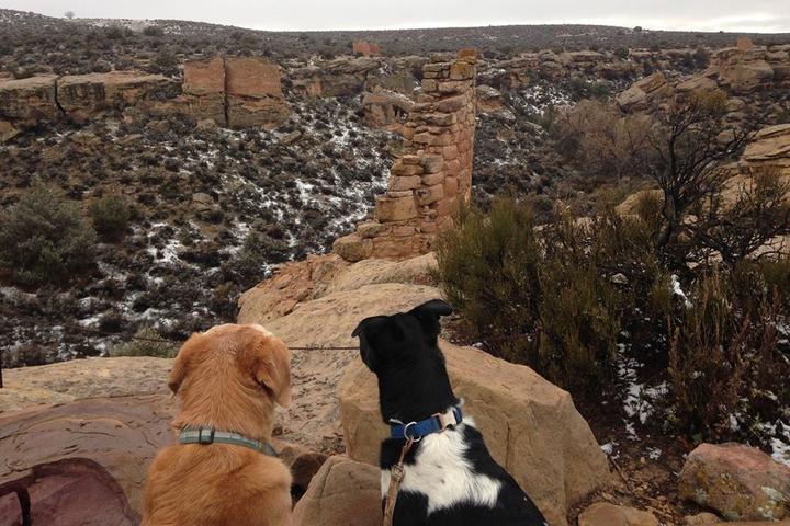 Pet Friendly Hovenweep National Monument