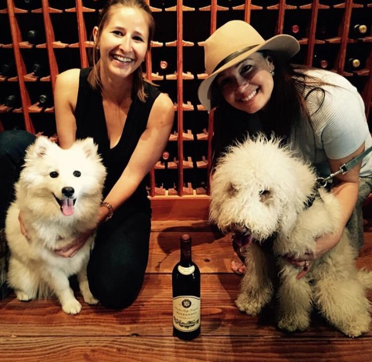 V Sattui Dog Friendly 2025