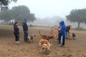 Pet Friendly Hotels In Johnson City Tx Bringfido