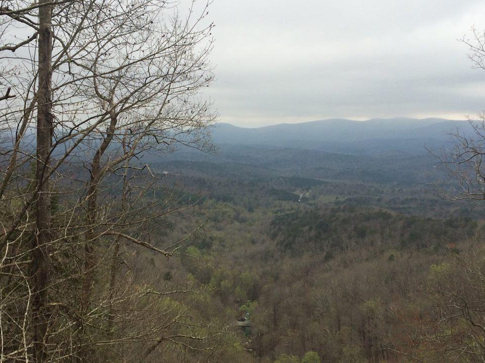 are dogs allowed at amicalola falls