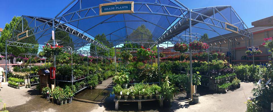 Dog Friendly Activities In Puyallup Wa Bringfido