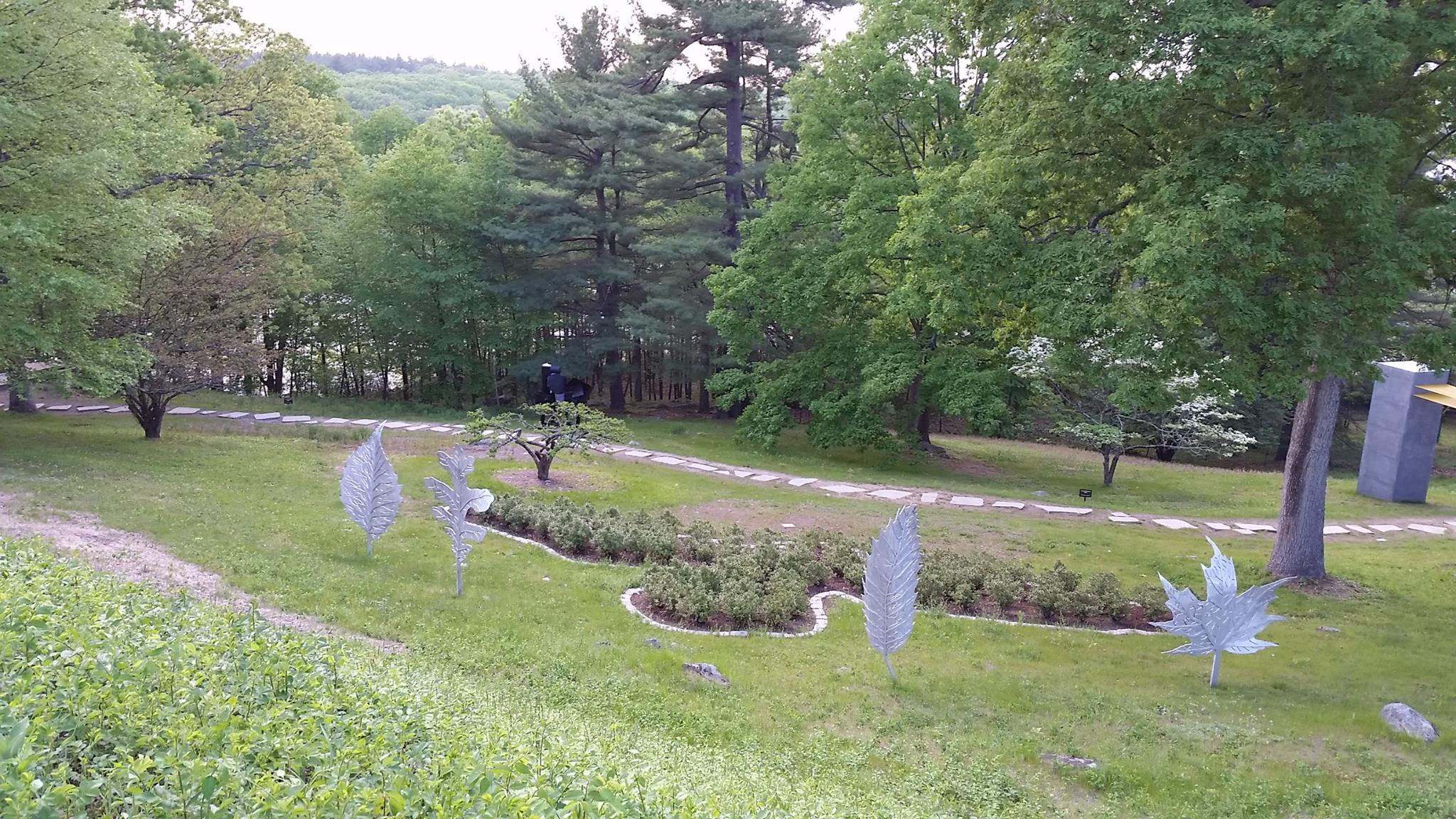 Dog Friendly Activities in Massachusetts BringFido