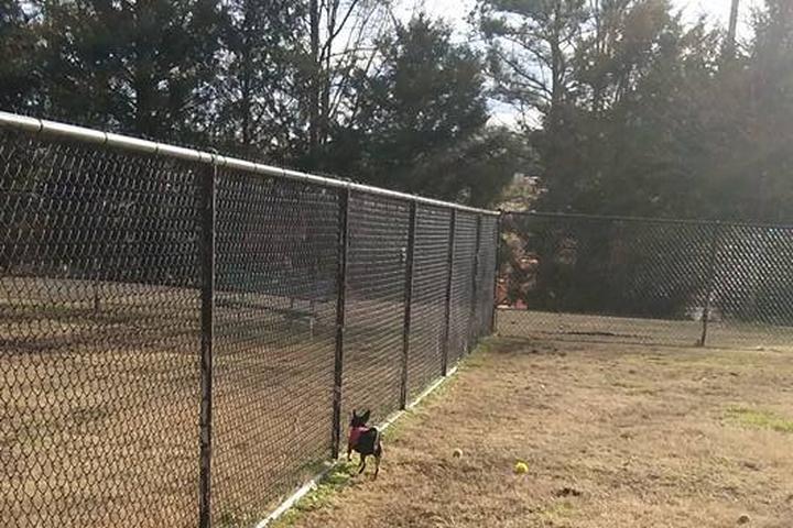 Pet Friendly Chattanooga Chew Chew Canine Park