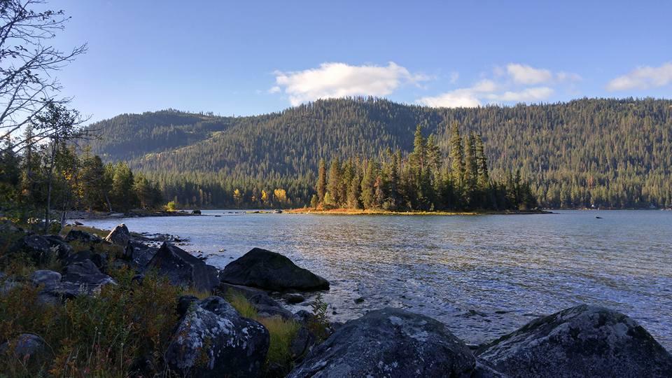 are dogs allowed at lake wenatchee state park