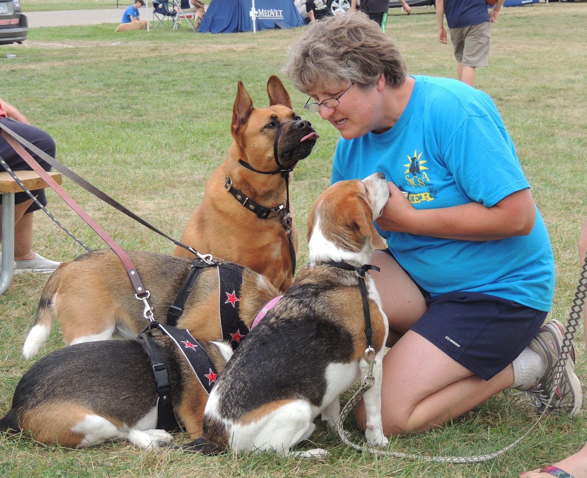 Pet Friendly Scout Dog Park at Pierce Park