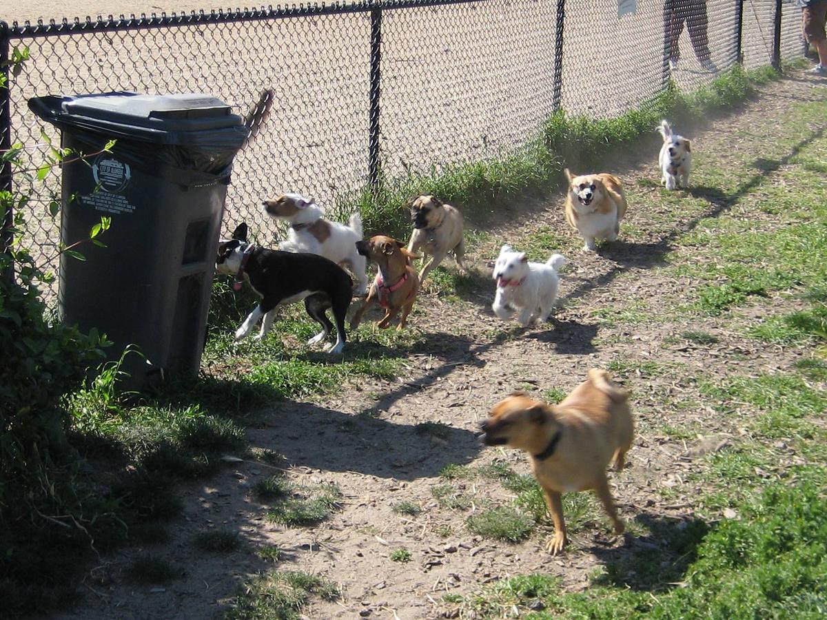 Alameda Dog Park