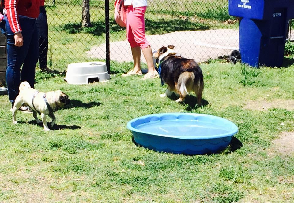 Tait Terrace Dog Park