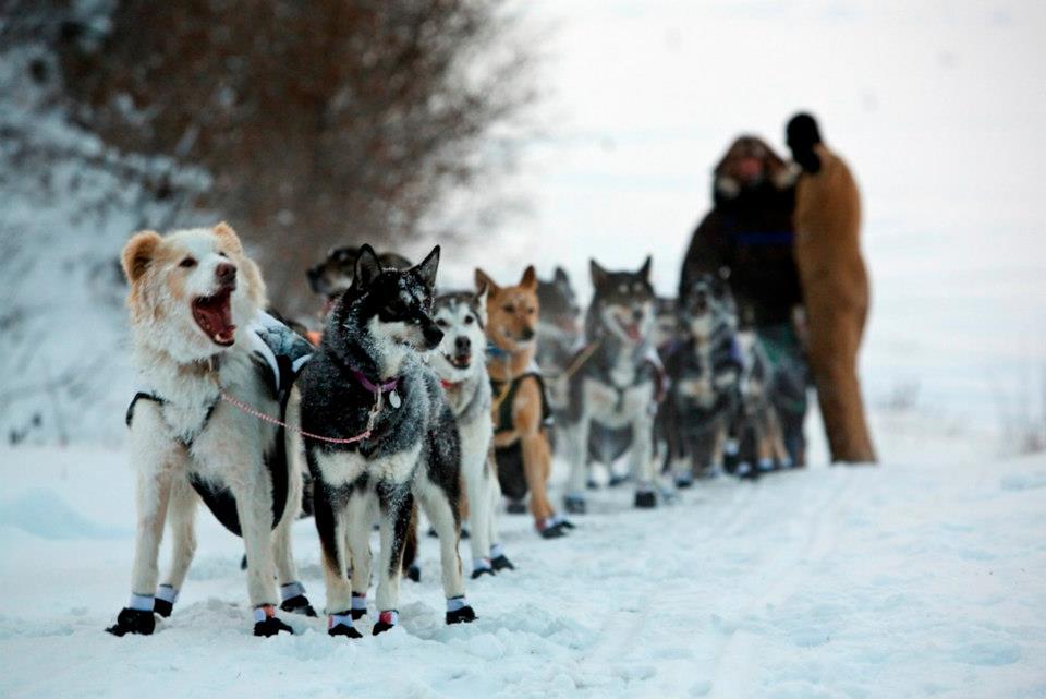 Gates of the Arctic National Park and Preserve