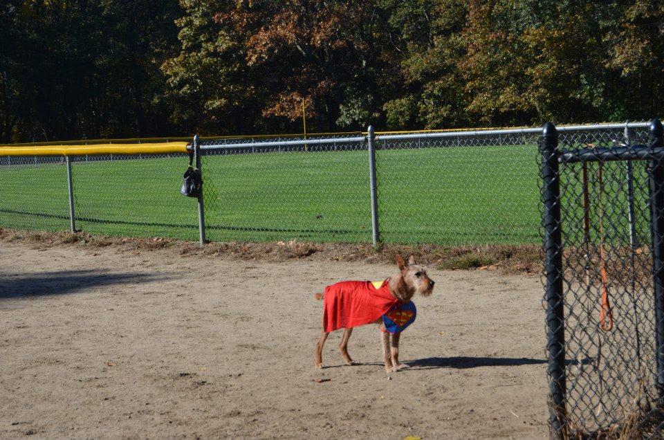 off leash areas near me