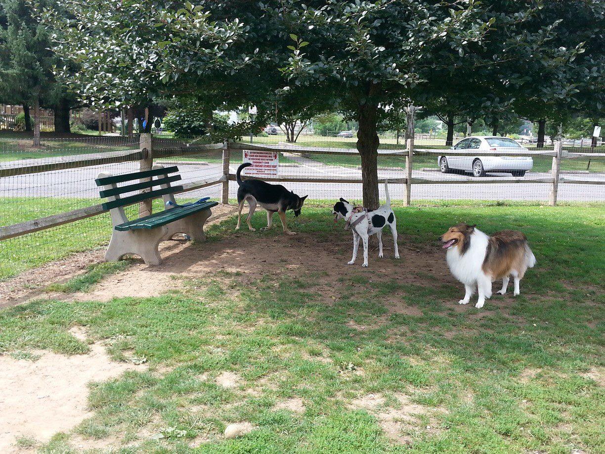 Pet Friendly Dog Park at Major Anthony Selin Park
