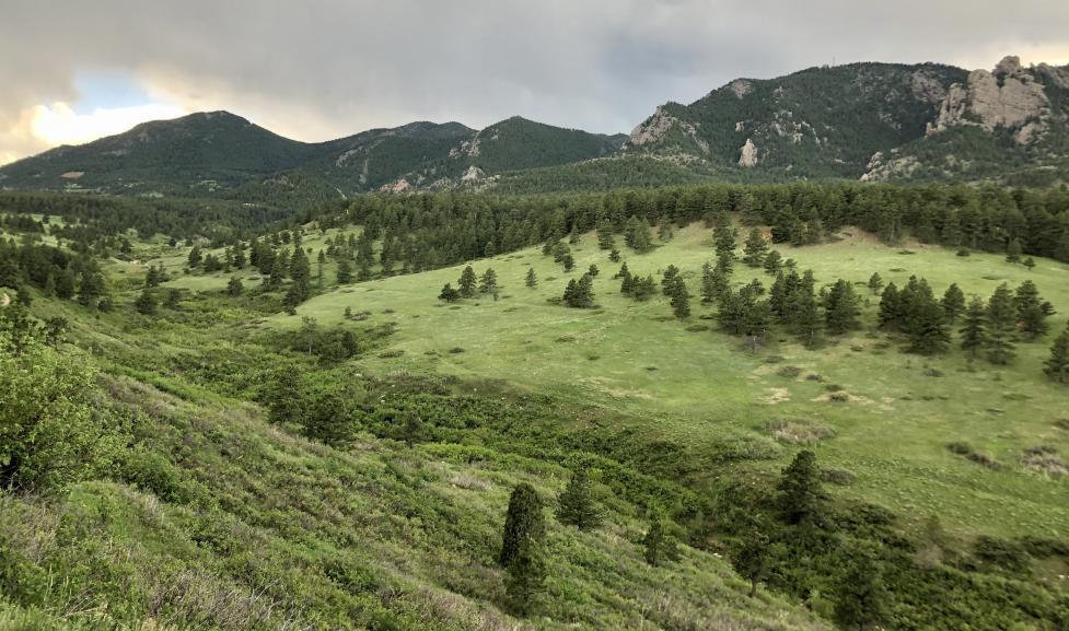 Pet Friendly Flatirons Vista and Doudy Draw Trail