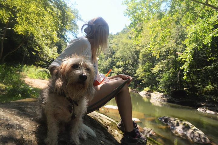 Pet Friendly McConnells Mill State Park