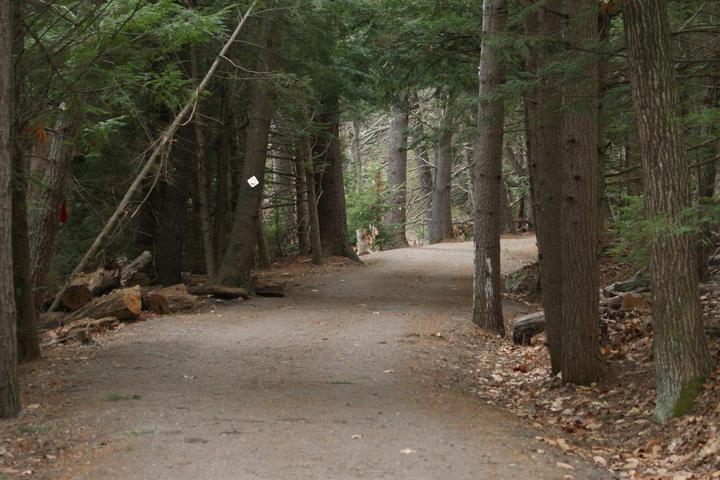 Pet Friendly New Boston Rail Trail