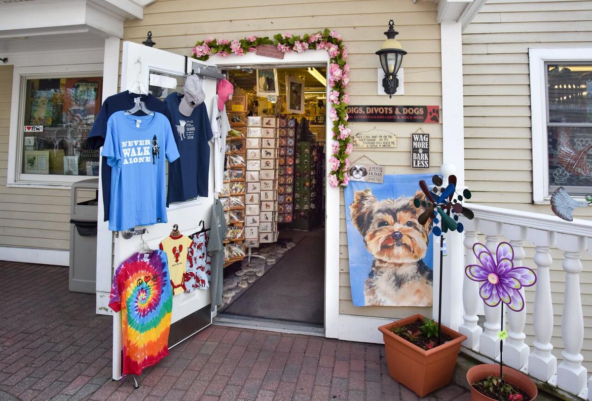 Digs, Divots, and Dogs