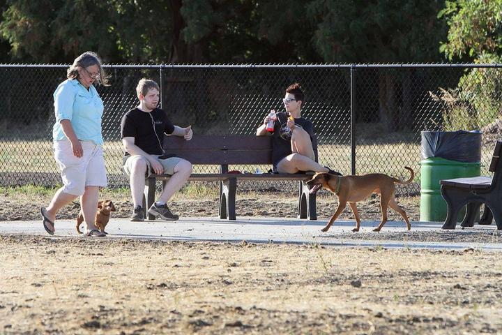Pet Friendly Rotary Off Leash Dog Area