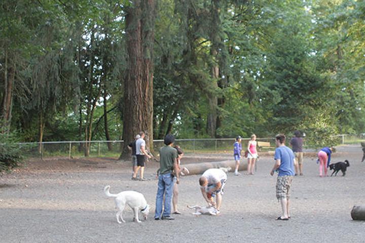 Pet Friendly Queen's Park Off-Leash Dog Area