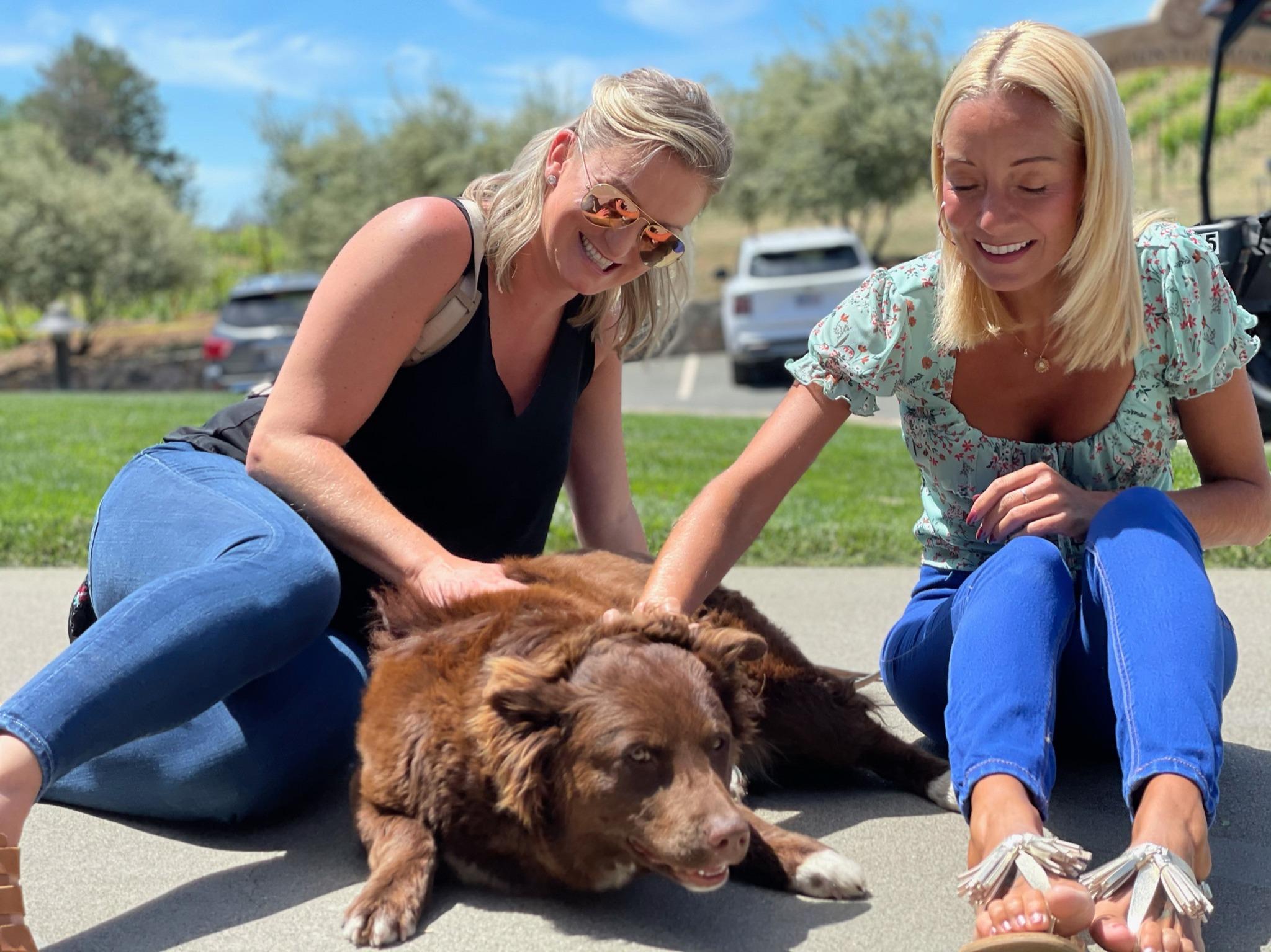 Pet Friendly Pride Mountain Vineyards