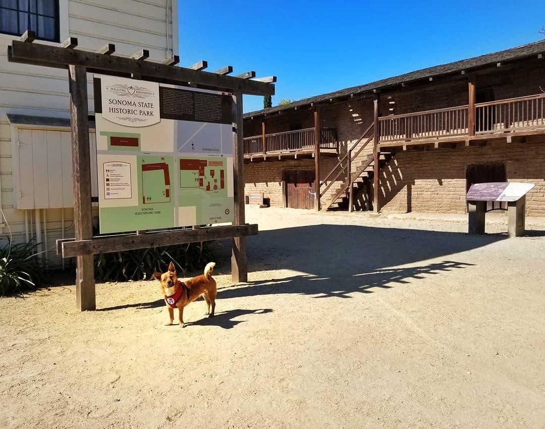 Pet Friendly Sonoma State Historic Park