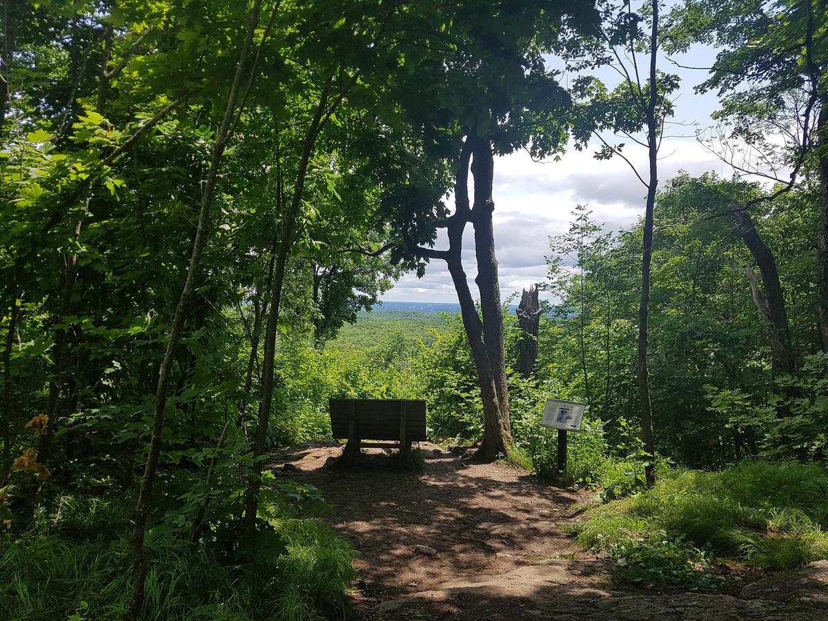 is gatineau park dog friendly