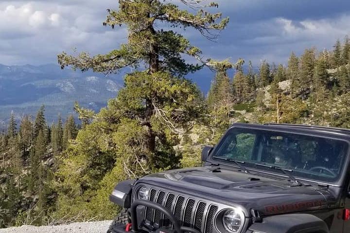 Pet Friendly Jeep Into the Sierra Nevada Mountains