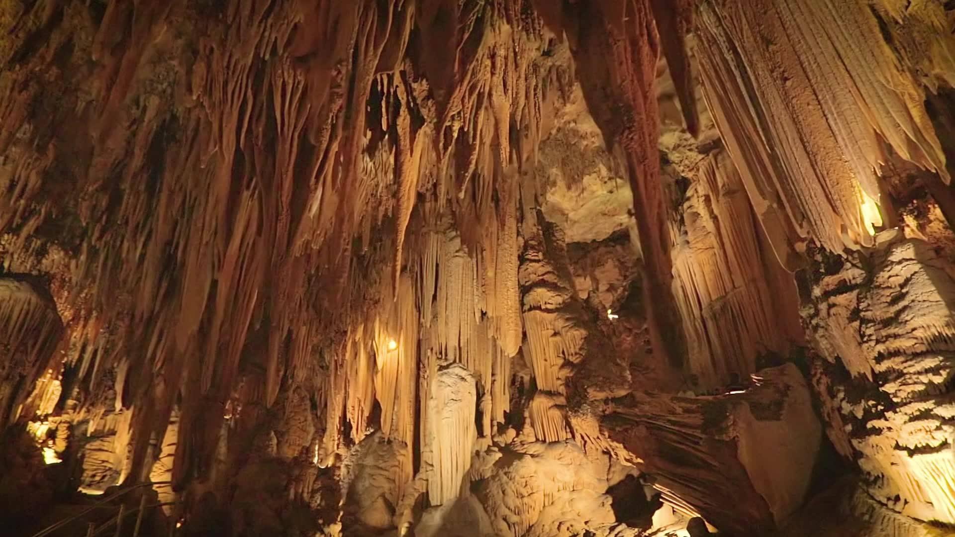 Pet Friendly Luray Caverns