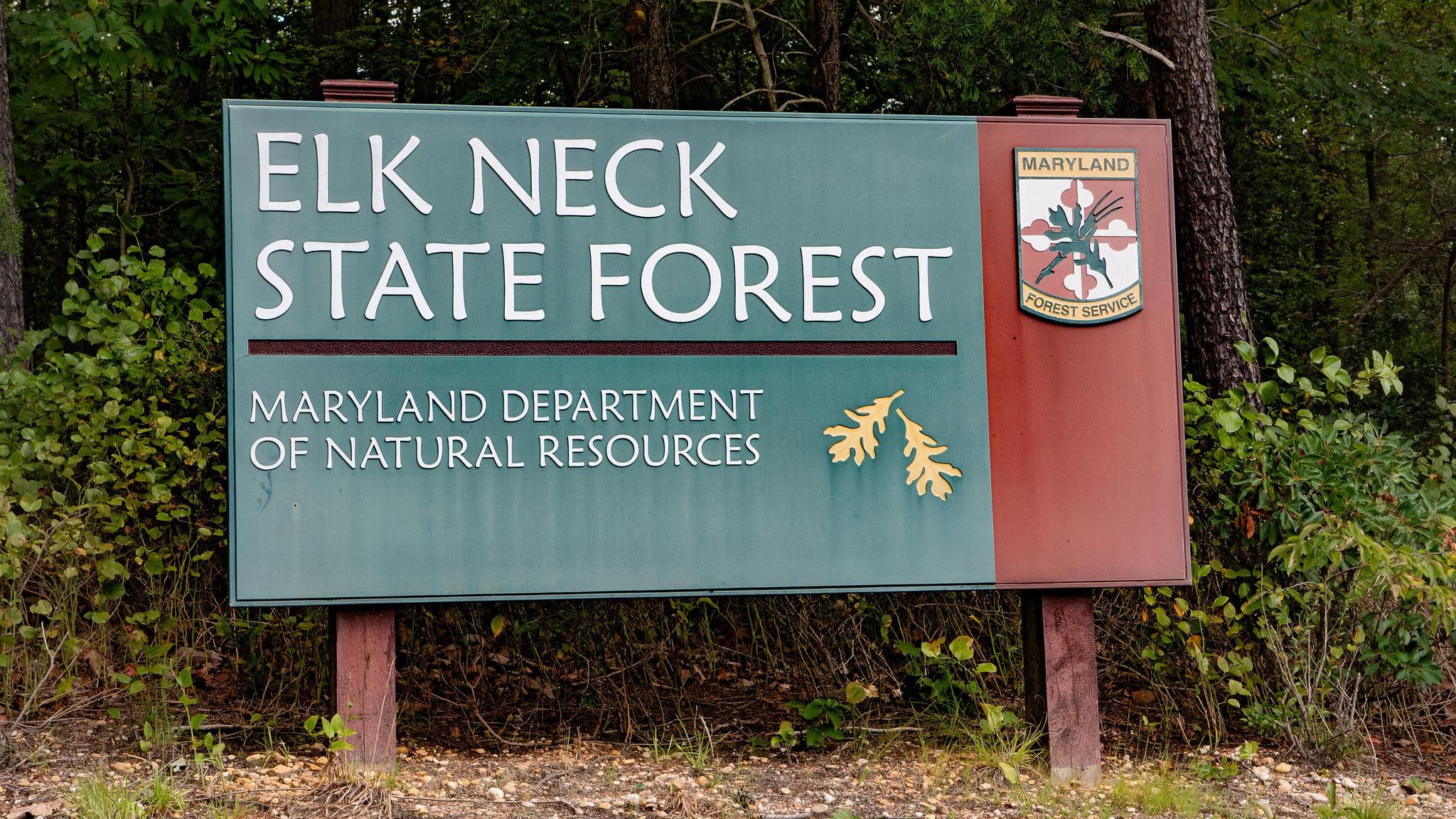 Pet Friendly Elk Neck State Forest