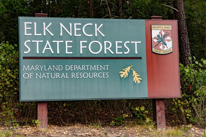 Pet Friendly Elk Neck State Forest