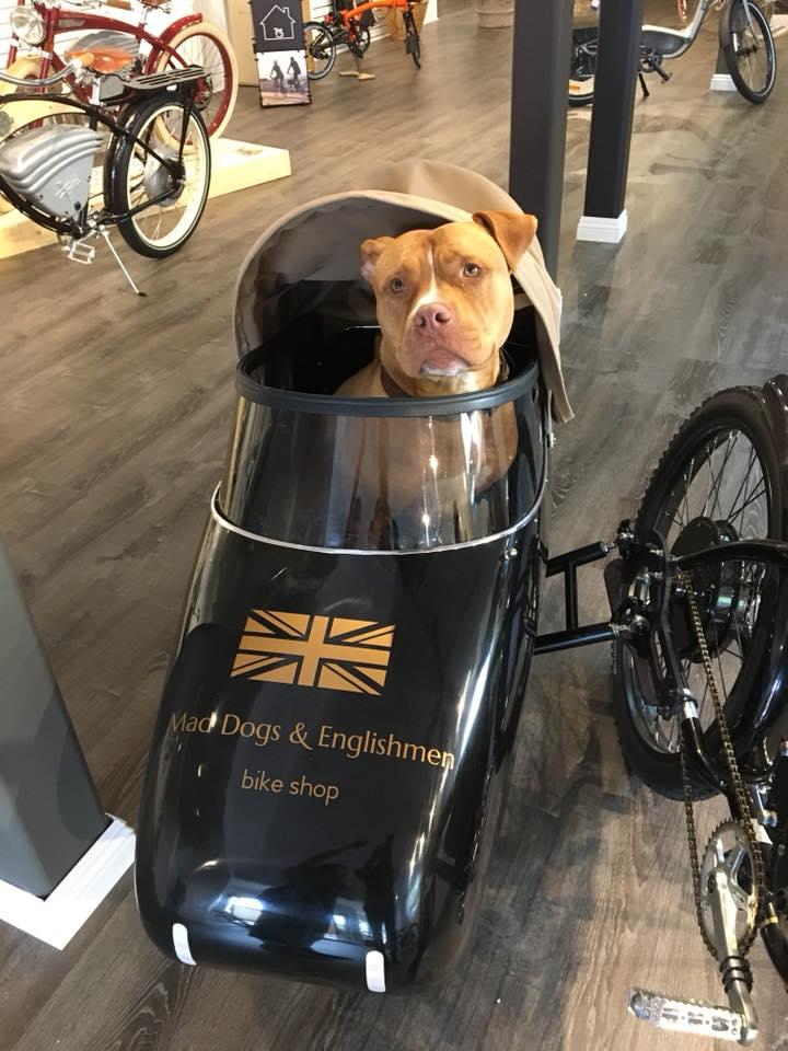 Mad dog deals bikes carmel