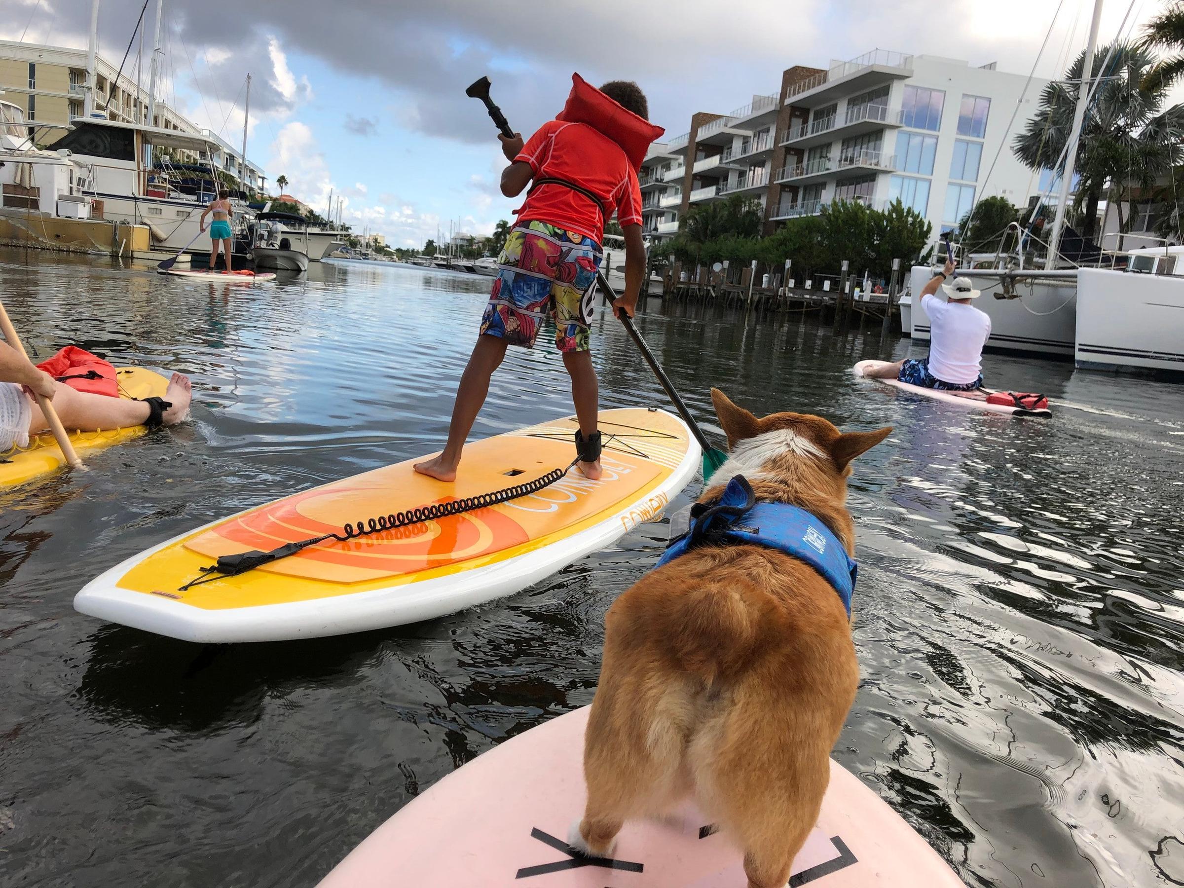 Pet Friendly SUP PUP Kids Paddleboard Tour