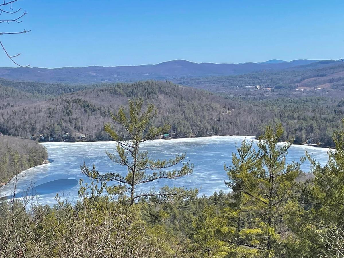 Quincy Pasture Forest
