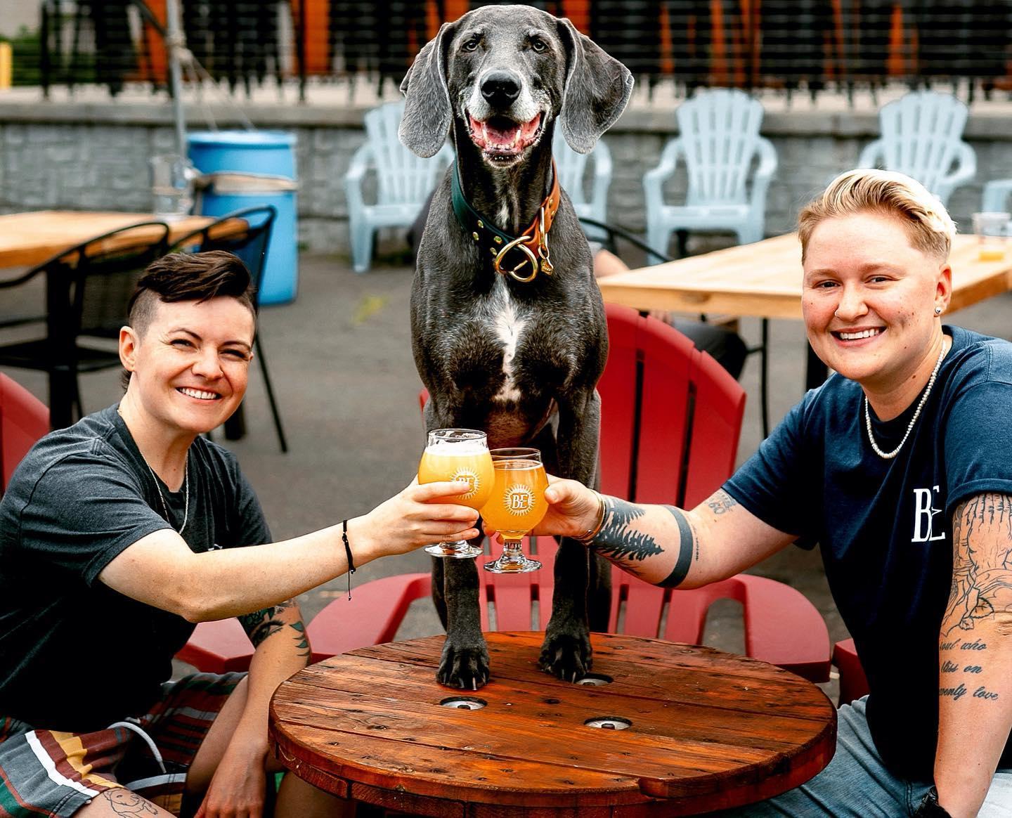 Pet Friendly Back East Brewing Company