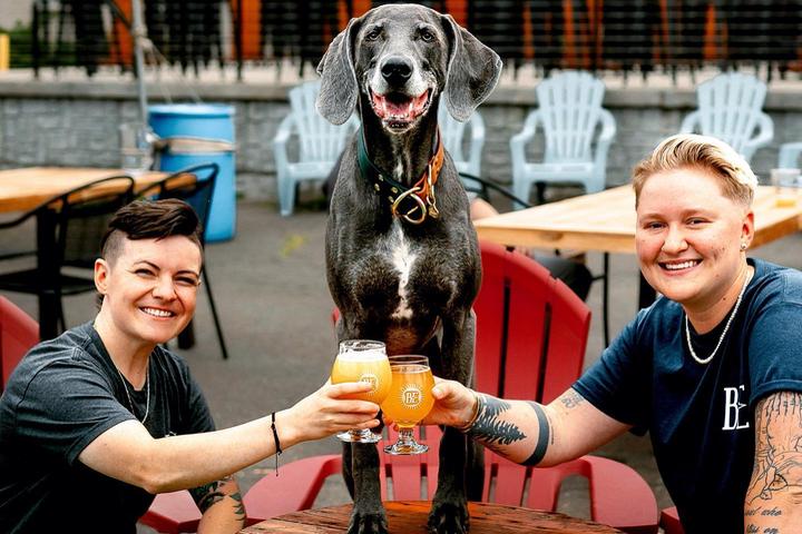 Pet Friendly Back East Brewing Company