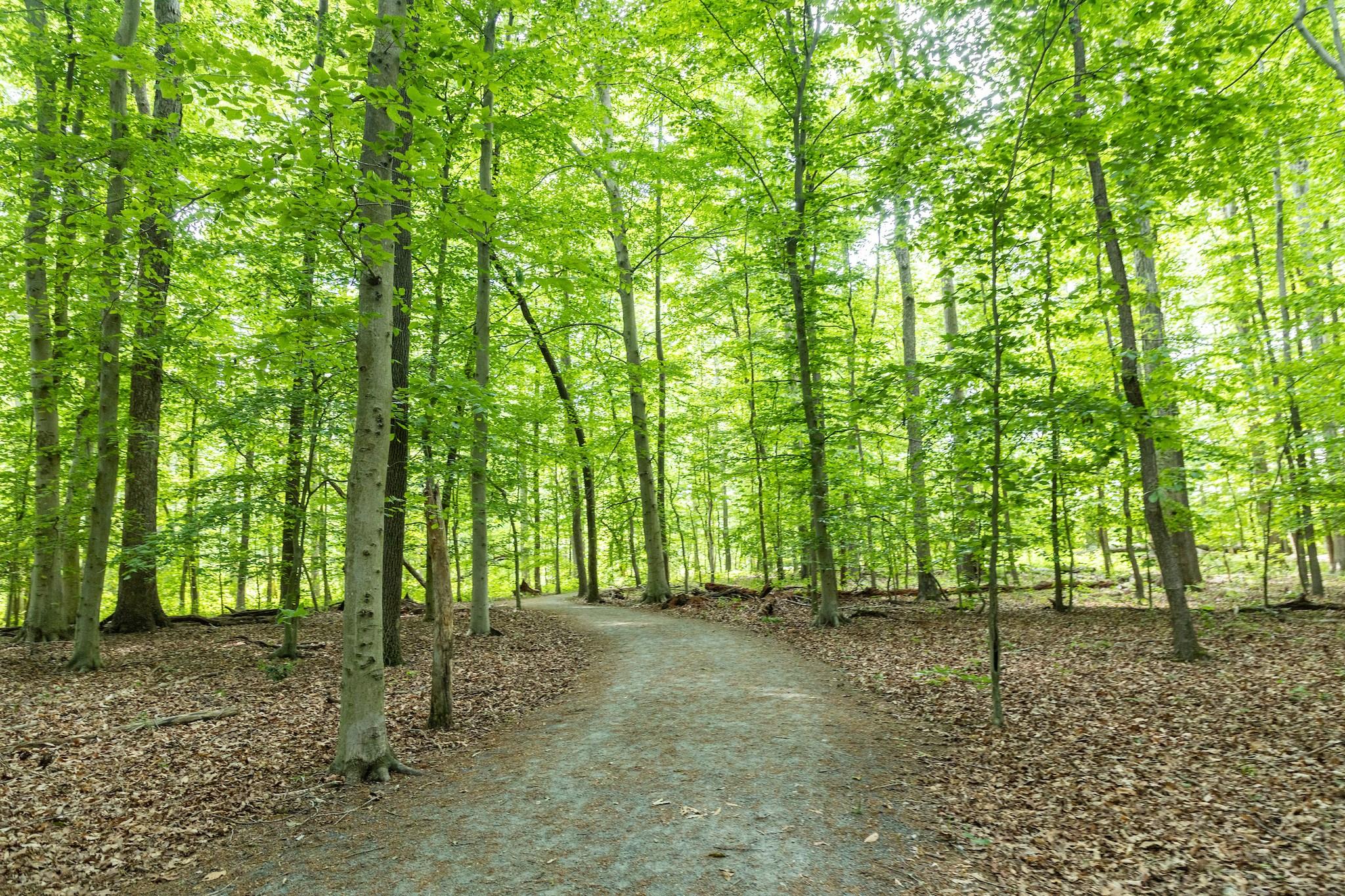 Dover Memorial Park