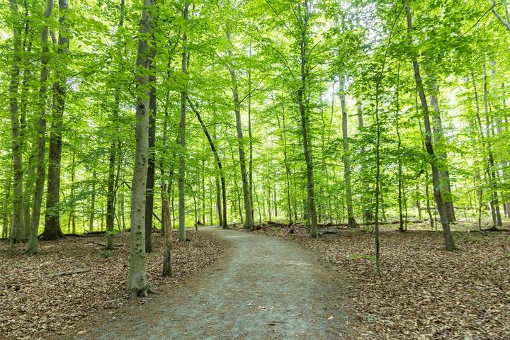 Dover Memorial Park