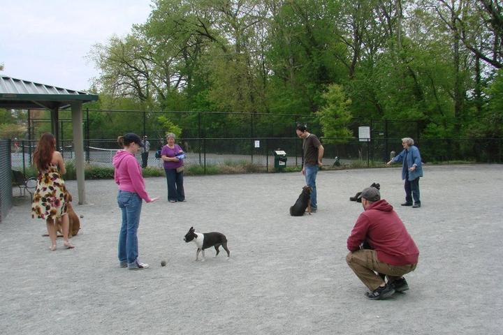 Pet Friendly Newark Street Dog Park