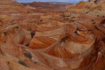 Dog Friendly Activities In Marble Canyon Az Bringfido