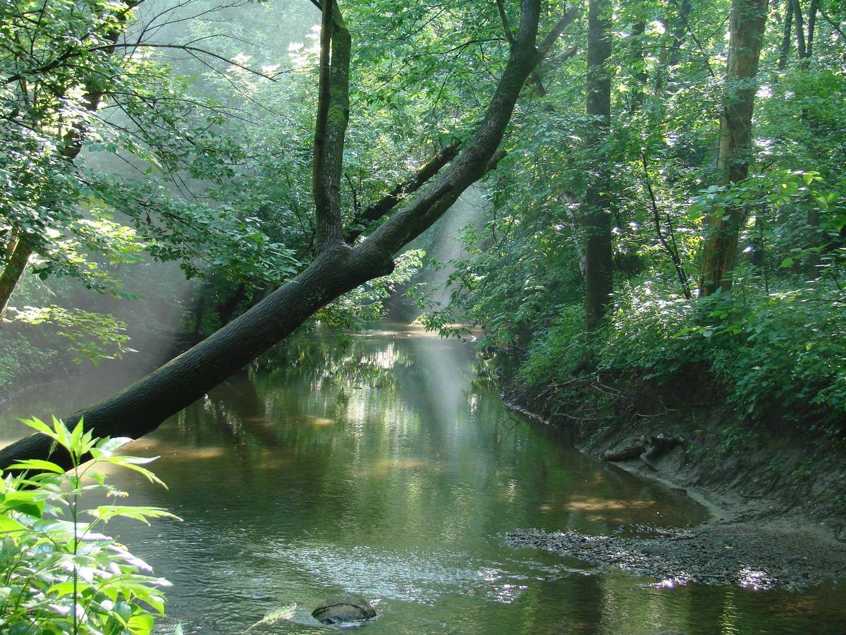 Cool Creek Park Nature Center