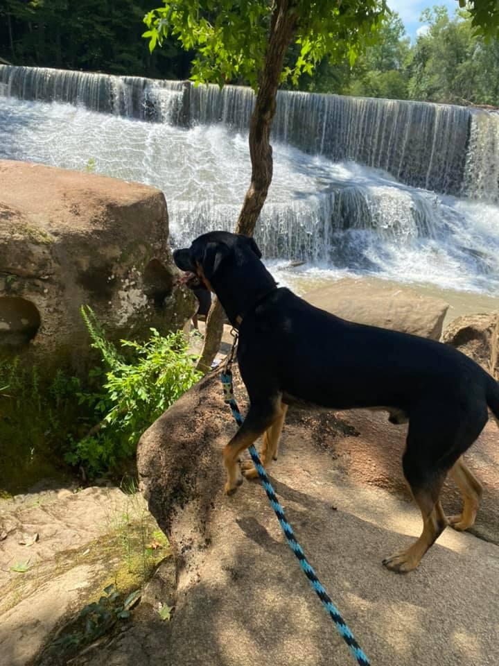 Riverpark at Cooleemee Falls The Bullhole
