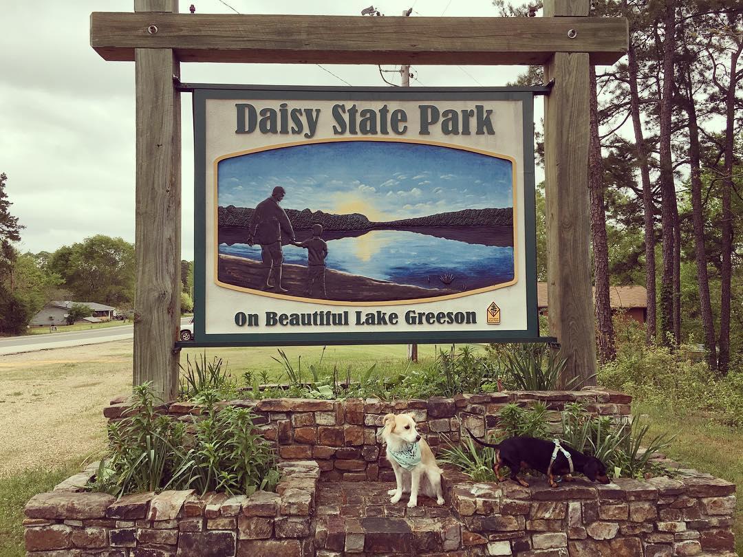 Pet Friendly Daisy State Park