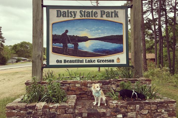 Pet Friendly Daisy State Park