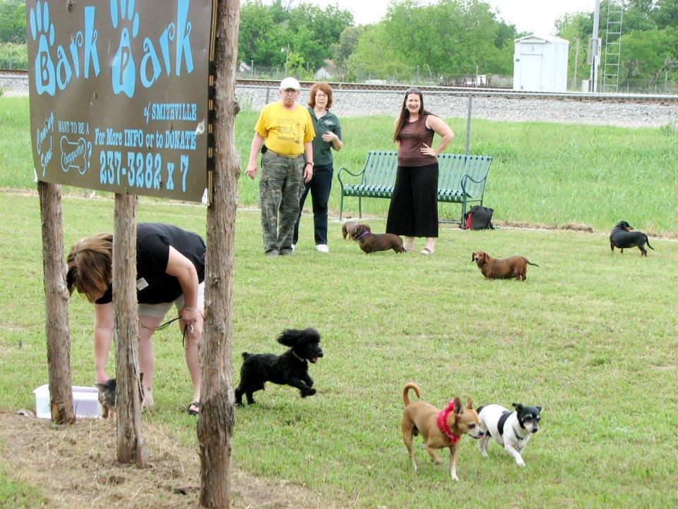 Pet Friendly Doggie Bark Park