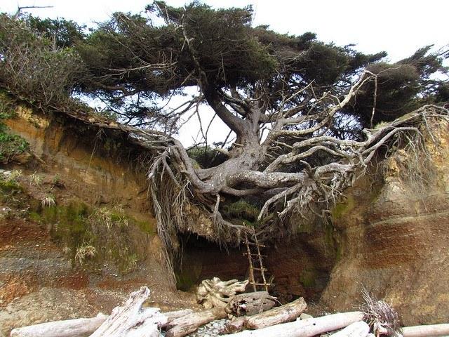 hiking overnight backpack