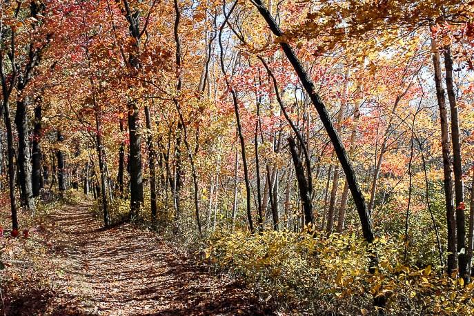 Hiking trails outlet in long beach