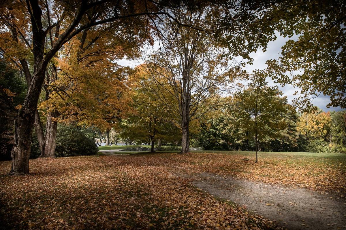 Maudslay State Park