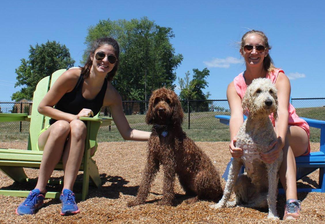 Happy best sale hounds playground