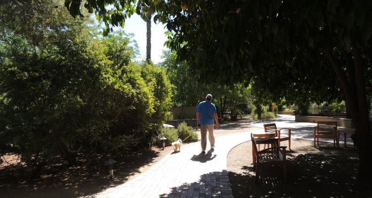 Tucson Botanical Gardens