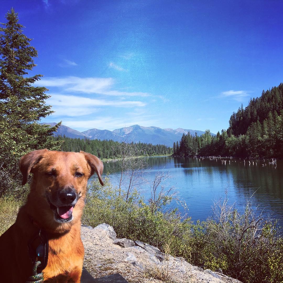 Dog Friendly Hiking Trails in Montana - BringFido