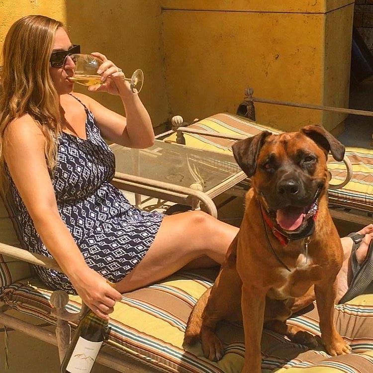 Breakaway Tours, DogFriendly Wine Tours